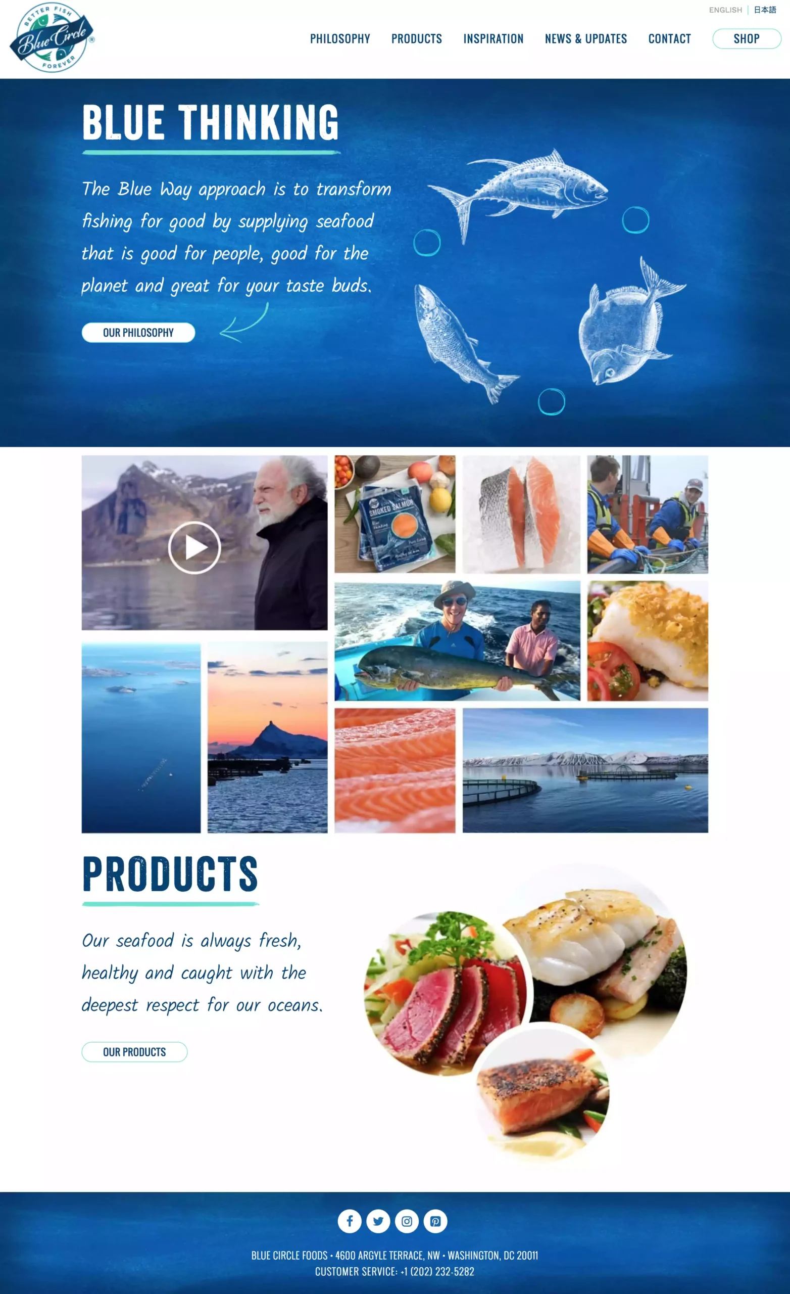 Blue Circle Foods website redesign